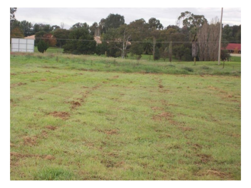 6 PUTTERS CT, Barooga NSW 3644