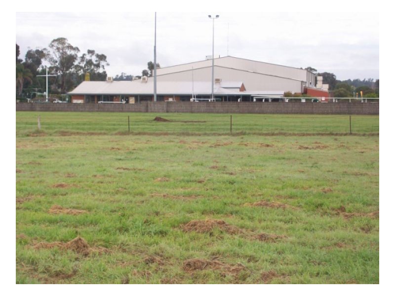 6 PUTTERS CT, Barooga NSW 3644