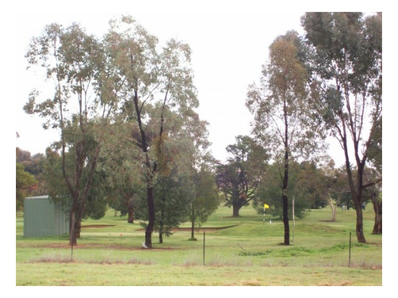 6 PUTTERS CT, Barooga NSW 3644