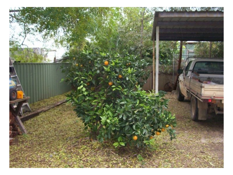 35 BUDD ST, Berrigan NSW 2712