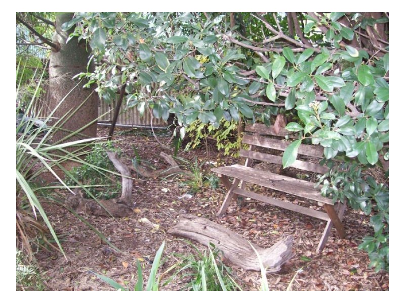 35 BUDD ST, Berrigan NSW 2712