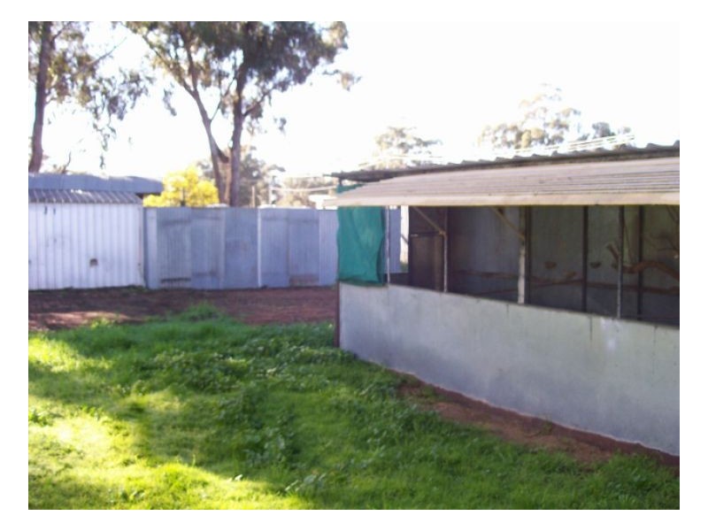 164-166 JERILDERIE ST, Berrigan NSW 2712