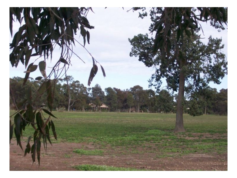 Lot 106 NUNGUNIA ST, Berrigan NSW 2712
