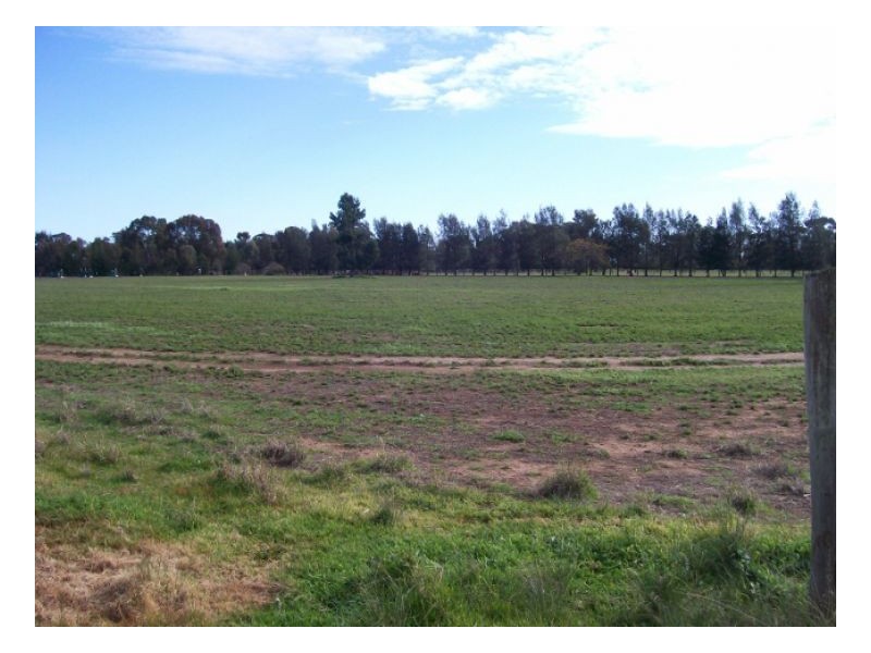 Lot 106 NUNGUNIA ST, Berrigan NSW 2712