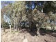 Lot 106 NUNGUNIA ST, Berrigan NSW 2712