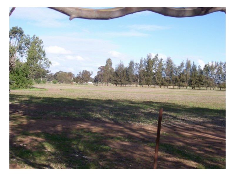 Lot 106 NUNGUNIA ST, Berrigan NSW 2712