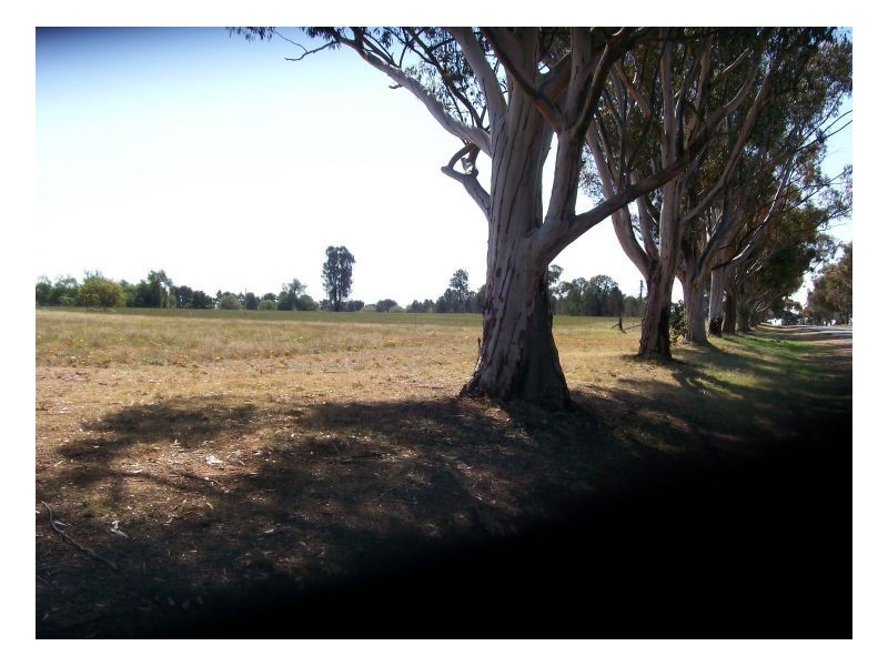 52-56 COREEN STREET, Oaklands NSW 2646