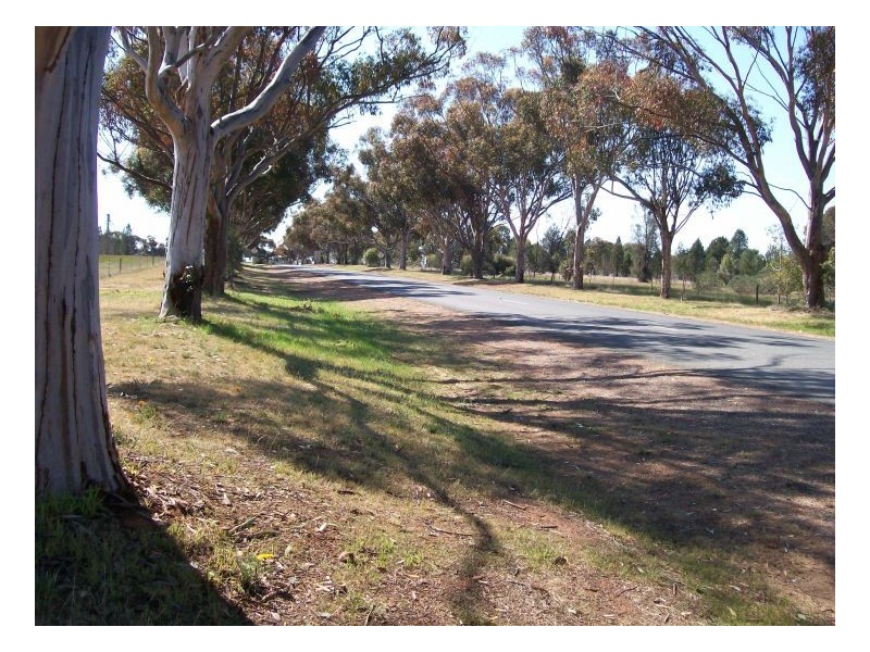 52-56 COREEN STREET, Oaklands NSW 2646