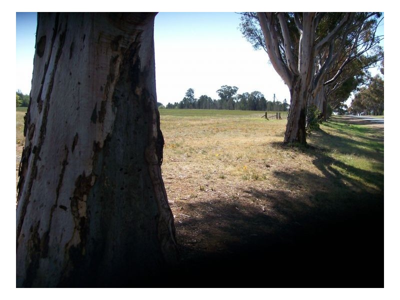 52-56 COREEN STREET, Oaklands NSW 2646