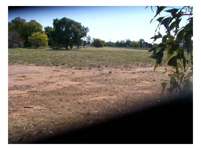 52-56 COREEN STREET, Oaklands NSW 2646