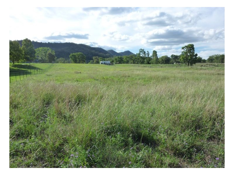 STRATHMORE – Currabubula, Tamworth NSW 2340