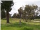 40 Racecourse Rd, Berrigan NSW 2712