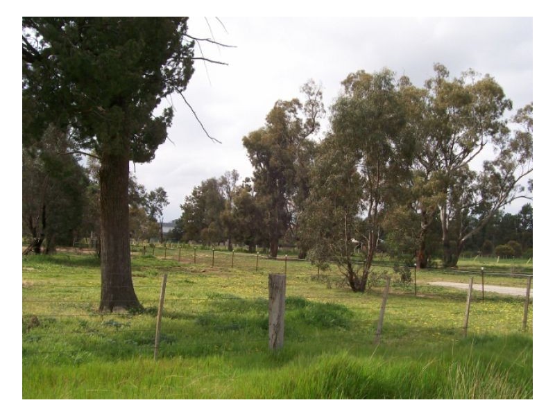 40 Racecourse Rd, Berrigan NSW 2712