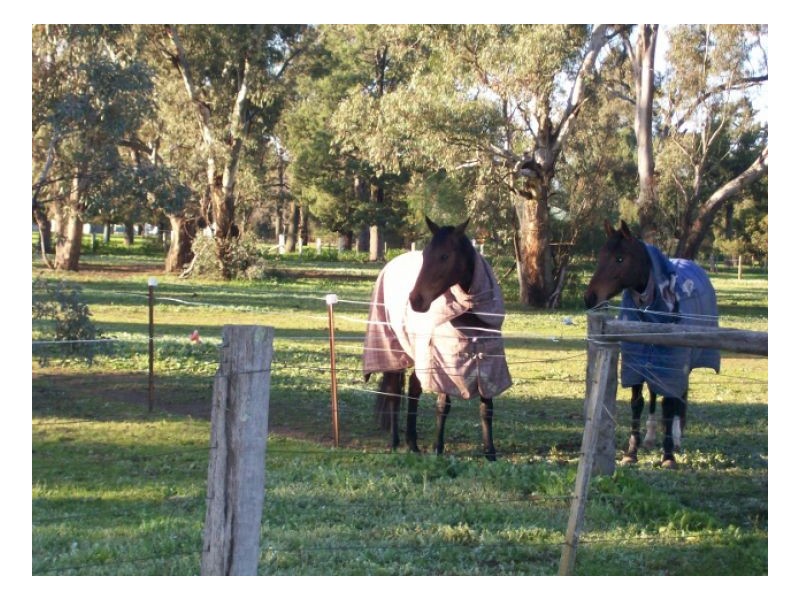 40 Racecourse Rd, Berrigan NSW 2712