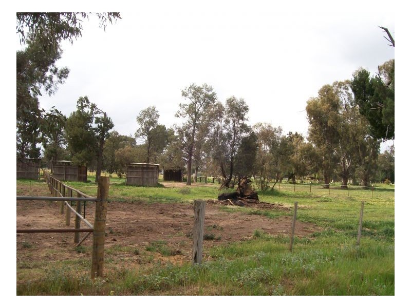 40 Racecourse Rd, Berrigan NSW 2712