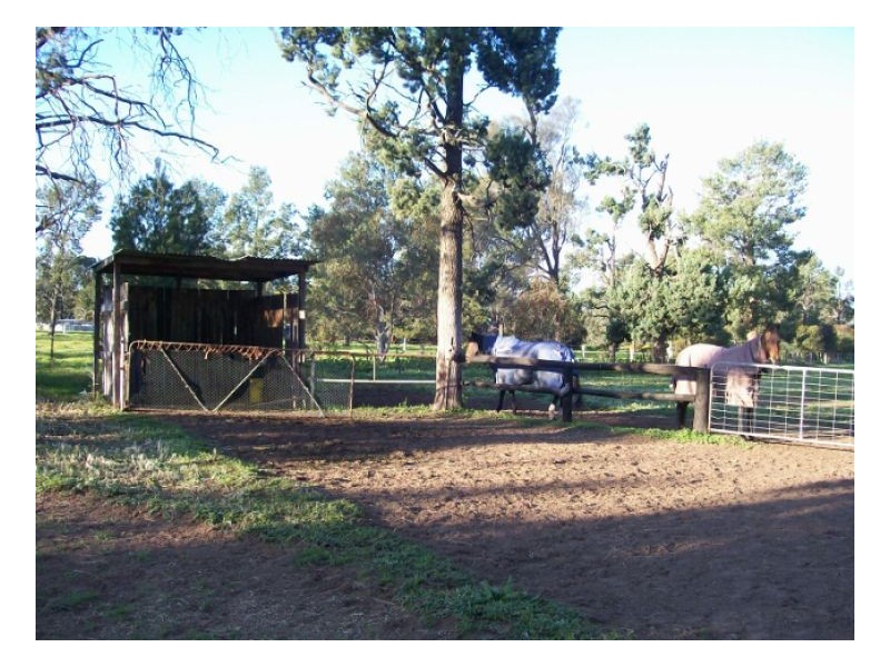 40 Racecourse Rd, Berrigan NSW 2712
