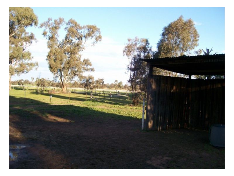 40 Racecourse Rd, Berrigan NSW 2712