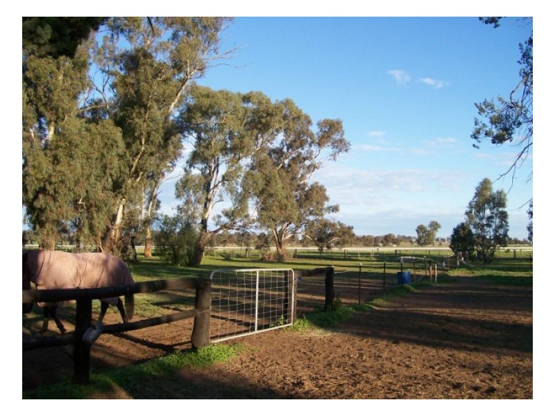 40 Racecourse Rd, Berrigan NSW 2712