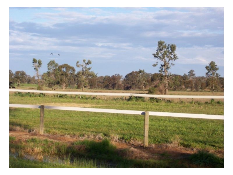 40 Racecourse Rd, Berrigan NSW 2712