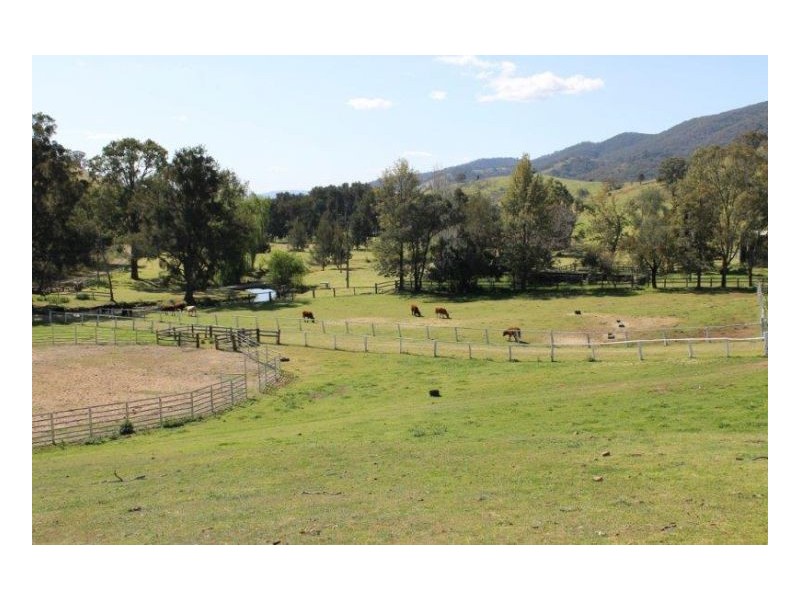 WYUNA, Tamworth NSW 2340