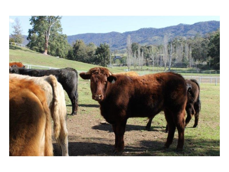 WYUNA, Tamworth NSW 2340