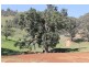 WYUNA, Tamworth NSW 2340