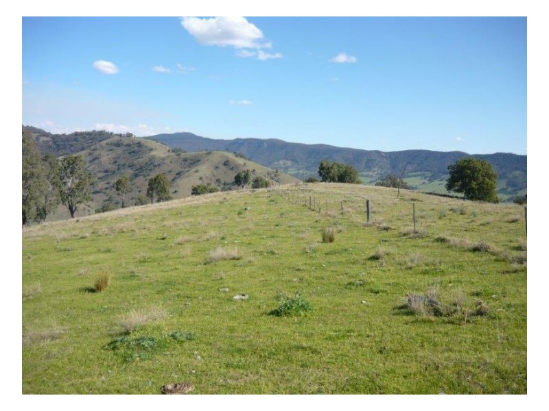 WYUNA, Tamworth NSW 2340