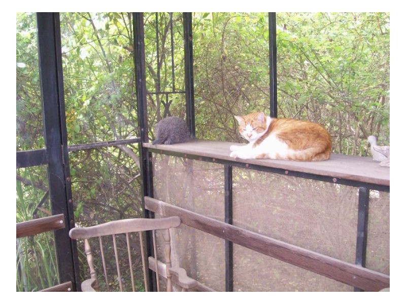 45-47 JERILDERIE ST, Berrigan NSW 2712