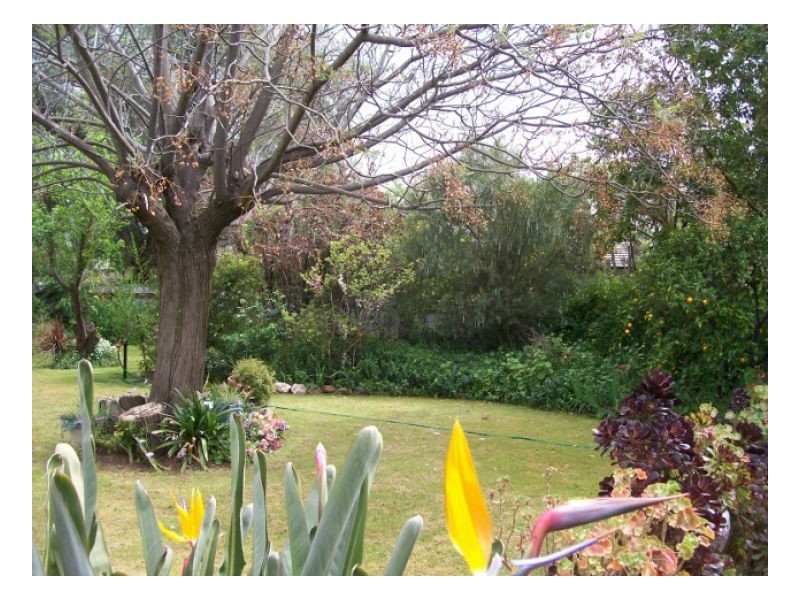 45-47 JERILDERIE ST, Berrigan NSW 2712