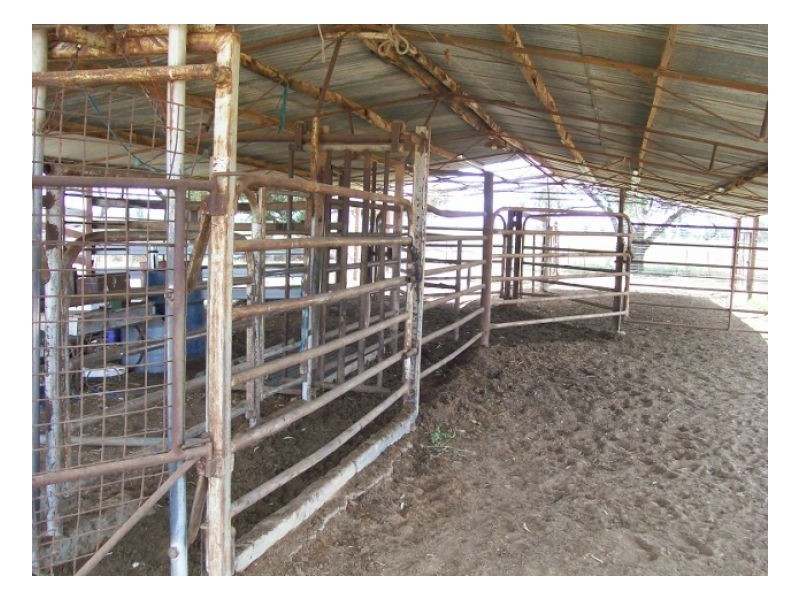 GLENTREVOR, Berrigan NSW 2712