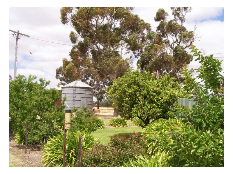 GLENTREVOR, Berrigan NSW 2712