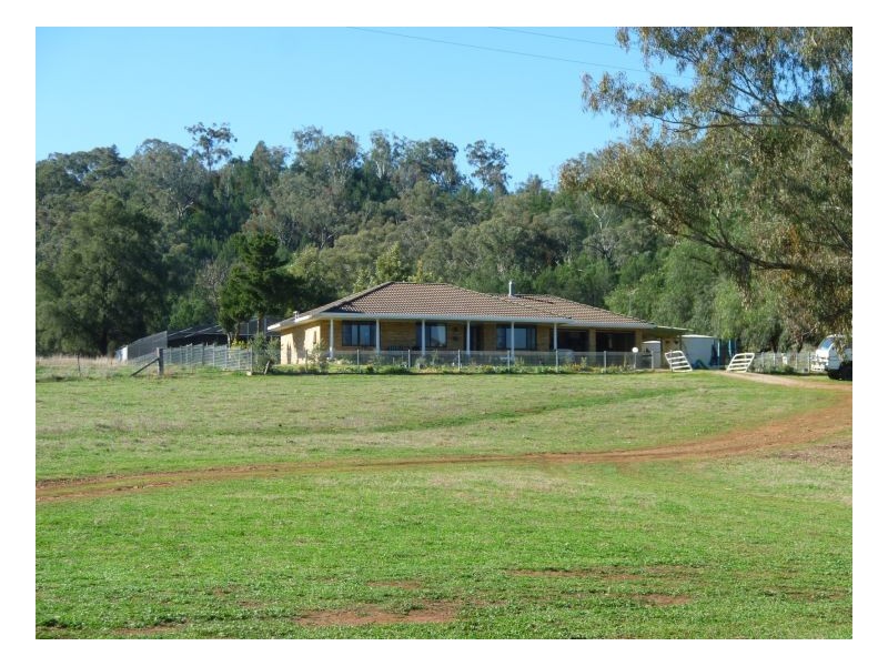 TEXOMA – Attunga, Tamworth NSW 2340
