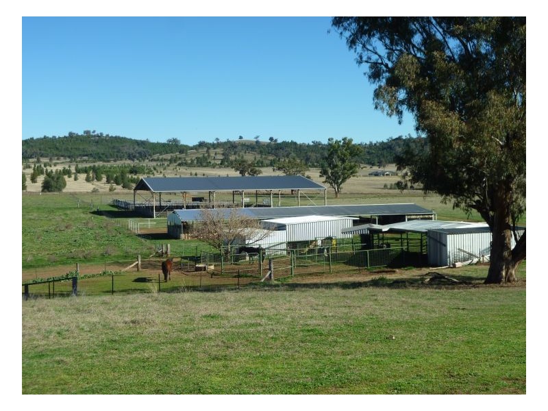 TEXOMA – Attunga, Tamworth NSW 2340