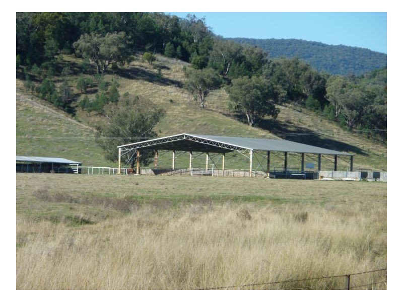 TEXOMA – Attunga, Tamworth NSW 2340