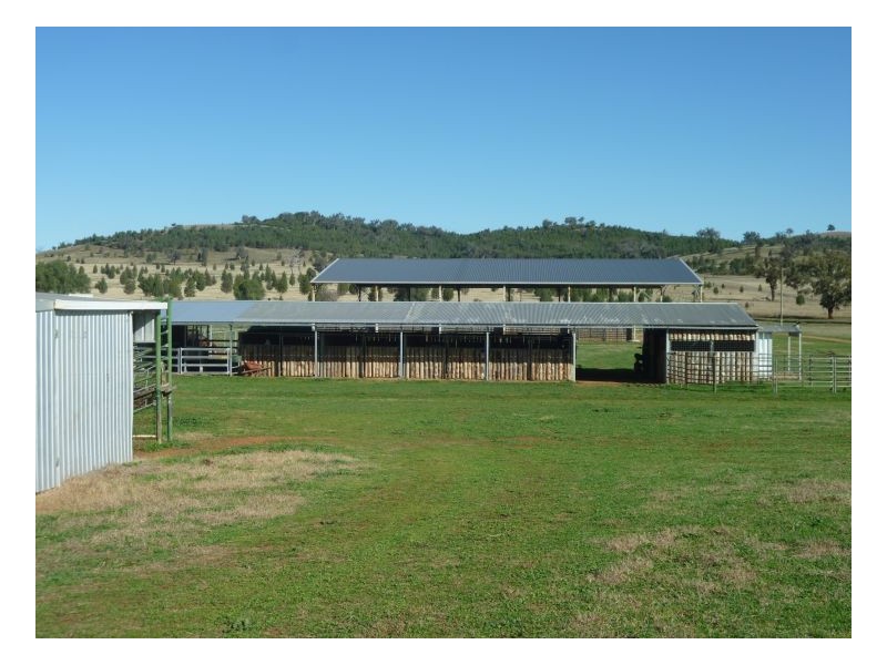 TEXOMA – Attunga, Tamworth NSW 2340