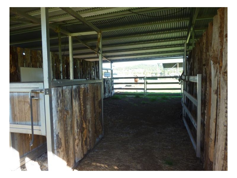 TEXOMA – Attunga, Tamworth NSW 2340