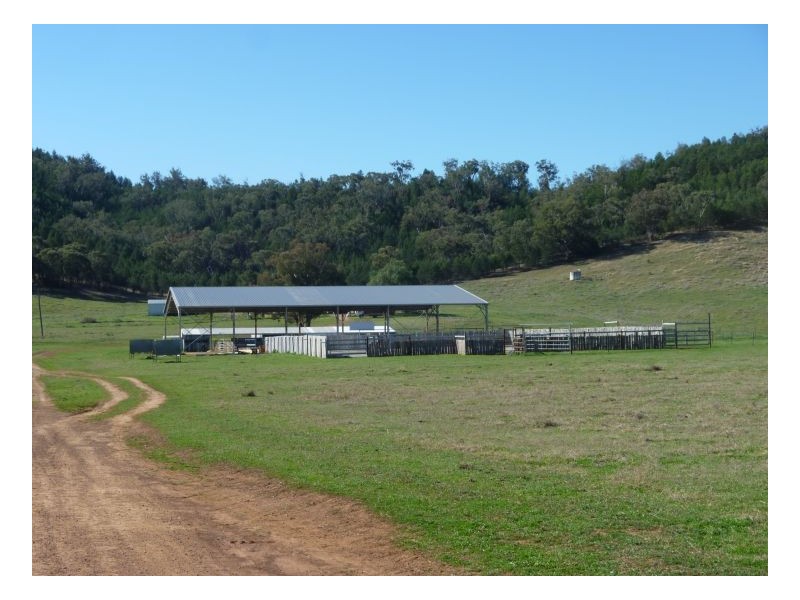 TEXOMA – Attunga, Tamworth NSW 2340