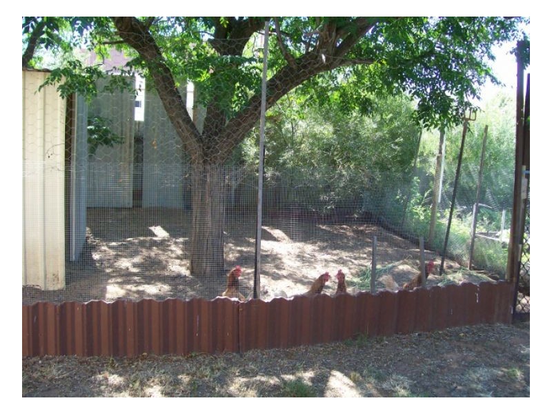 49-51 JERILDERIE ST, Berrigan NSW 2712