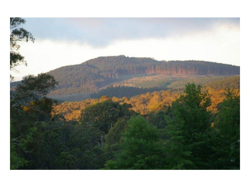 FIDDLERS REST – Hanging Rock, Tamworth NSW 2340
