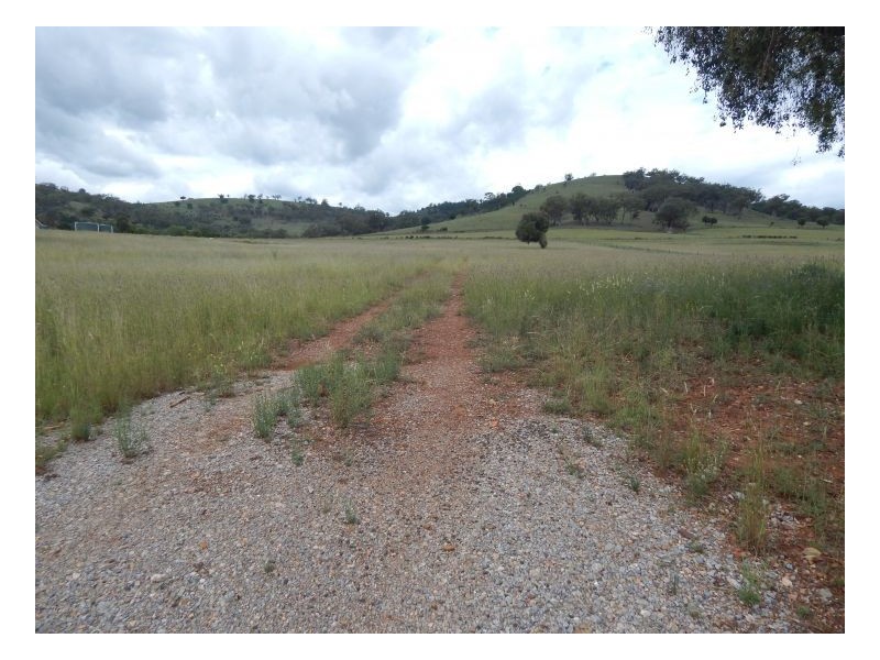 18 Honeyeater Place, Moore Creek NSW 2340