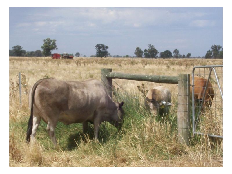 SANJI PARK, Berrigan NSW 2712