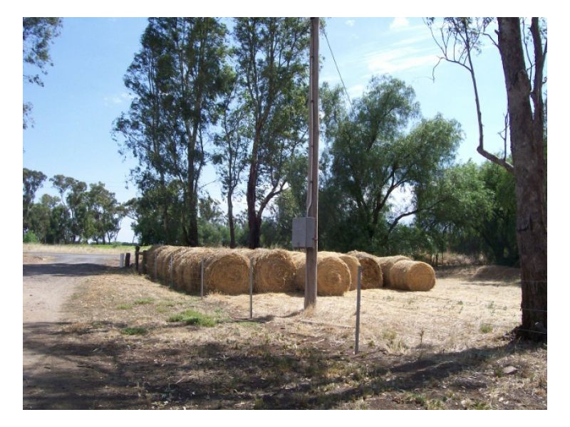 SANJI PARK, Berrigan NSW 2712