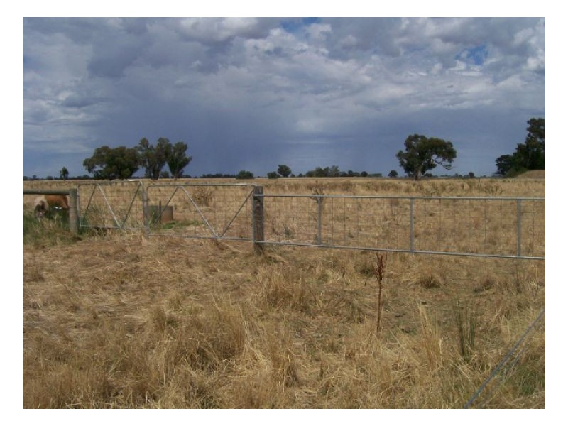 SANJI PARK, Berrigan NSW 2712