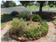 3 Tamworth Rd, Manilla NSW 2346