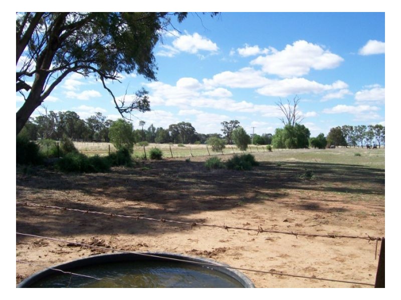 114-119 Woodstock Rd, Berrigan NSW 2712