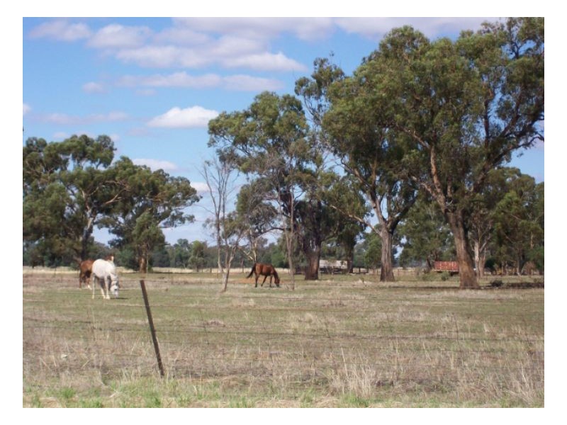 114-119 Woodstock Rd, Berrigan NSW 2712