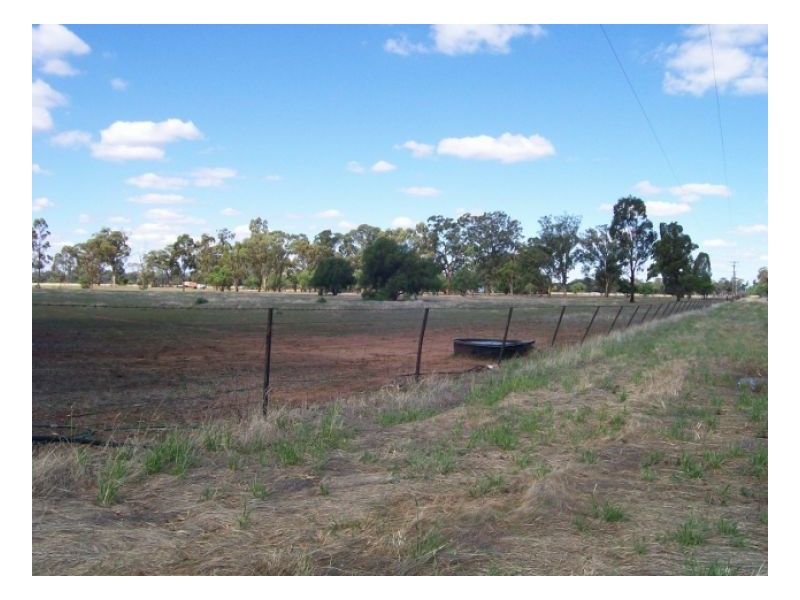 114-119 Woodstock Rd, Berrigan NSW 2712