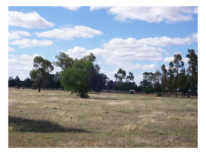 114-119 Woodstock Rd, Berrigan NSW 2712