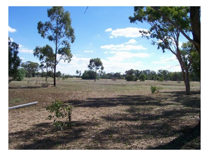 114-119 Woodstock Rd, Berrigan NSW 2712