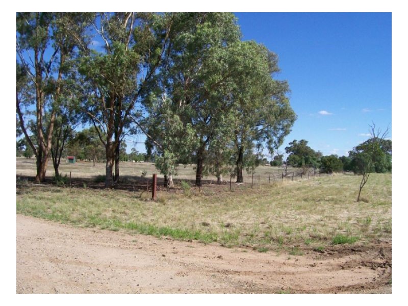 114-119 Woodstock Rd, Berrigan NSW 2712